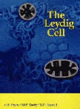 sm Leydig Cell